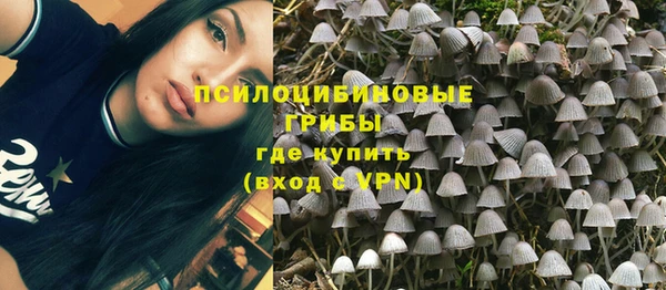 ALPHA PVP Алзамай