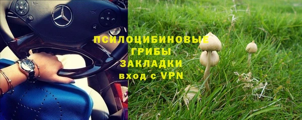 ALPHA PVP Алзамай