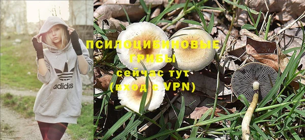 PSILOCYBIN Алексеевка