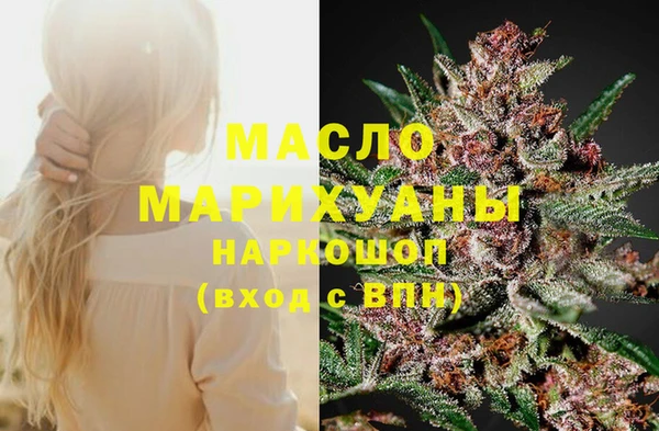 индика Пестово