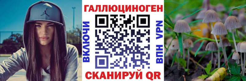 Галлюциногенные грибы MAGIC MUSHROOMS  сколько стоит  Межгорье 