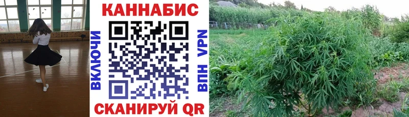 Марихуана тримм  OMG сайт  мориарти Telegram  Межгорье 